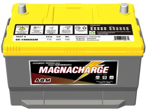 Crown 150AH 12-Volt Deep Cycle Battery