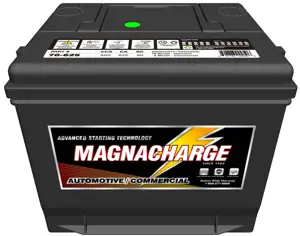 Automotive Starting Side Terminal-12 Volt - Magnacharge Battery