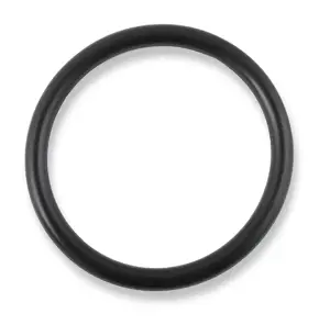Engine Oil Filter Adapter O-Ring | Earls Performance