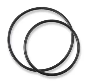 Engine Oil Thermostat O-Ring | Earls Performance