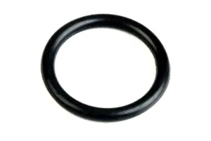 Fuel Line Seal Ring | Earls Performance