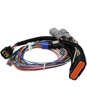 Ignition Harness | MSD