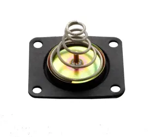 Fuel Injection Pressure Regulator Seal | Quick Fuel Technology