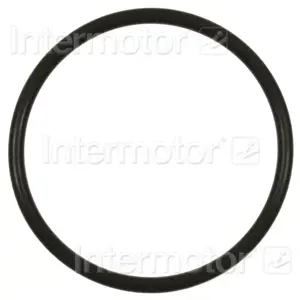 Fuel Pump O-Ring