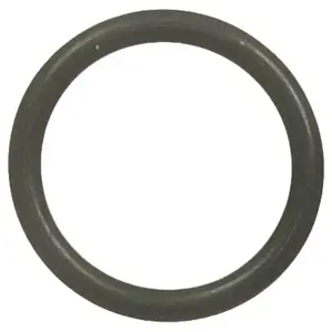 Engine Crankcase Vent O-Ring