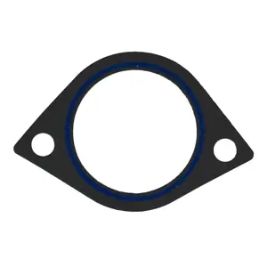 Fuel Injection Plenum Gasket