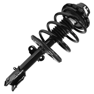 Suspension Strut and Coil Spring Assembly