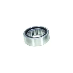 Differential Pilot Bearing