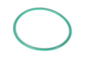 Fuel Pump Tank Seal
