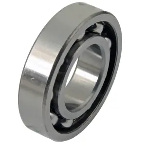 Drive Shaft Center Support Bearing