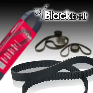K050405 | Serpentine Belt | Blackbelt