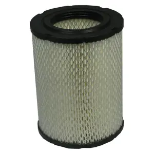 XA5433 | Air Filter | Ecogard