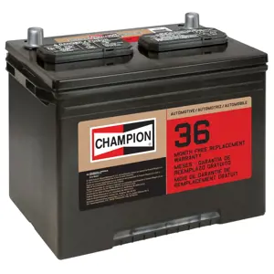 24-2FM | Vehicle Battery | Champion