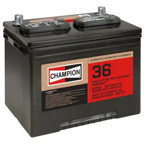 24F-2FM | Vehicle Battery | Champion