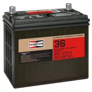 51R-2FM | Vehicle Battery | Champion