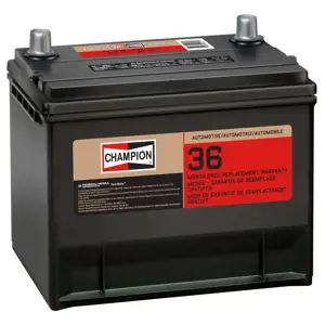 86-2FM | Vehicle Battery | Champion