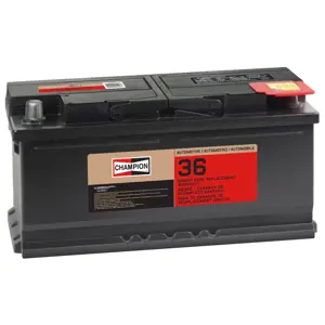 LBN5/93/T8-2FM | Vehicle Battery | Champion