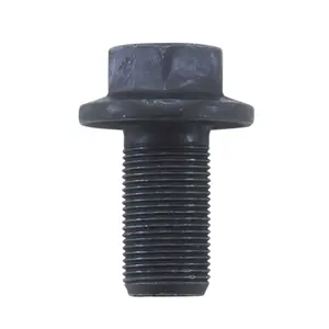 Differential Drive Pinion Gear Bearing Retainer Bolt