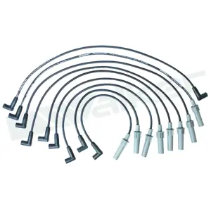 924-1661 | Spark Plug Wire Set | Walker Products
