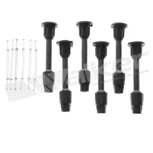 900-P2010-6 | Coil Boot Kit | Walker Products