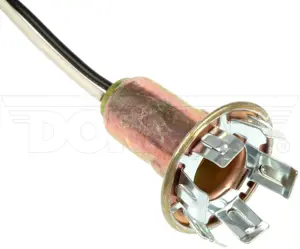 Back Up Light Socket