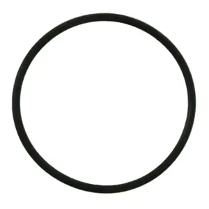 Engine Coolant Thermostat Gasket