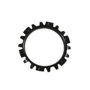 Differential Lock Washer