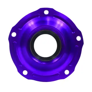 Differential Pinion Support
